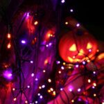 Halloween lichtketting 20 m 200 LED - Image 3