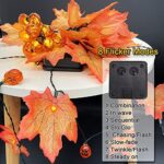 Thanksgiving Lichtsnoer - Image 2