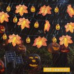 Thanksgiving Lichtsnoer - Image 4