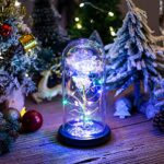 glazen koepel LED-verlichting - Image 5